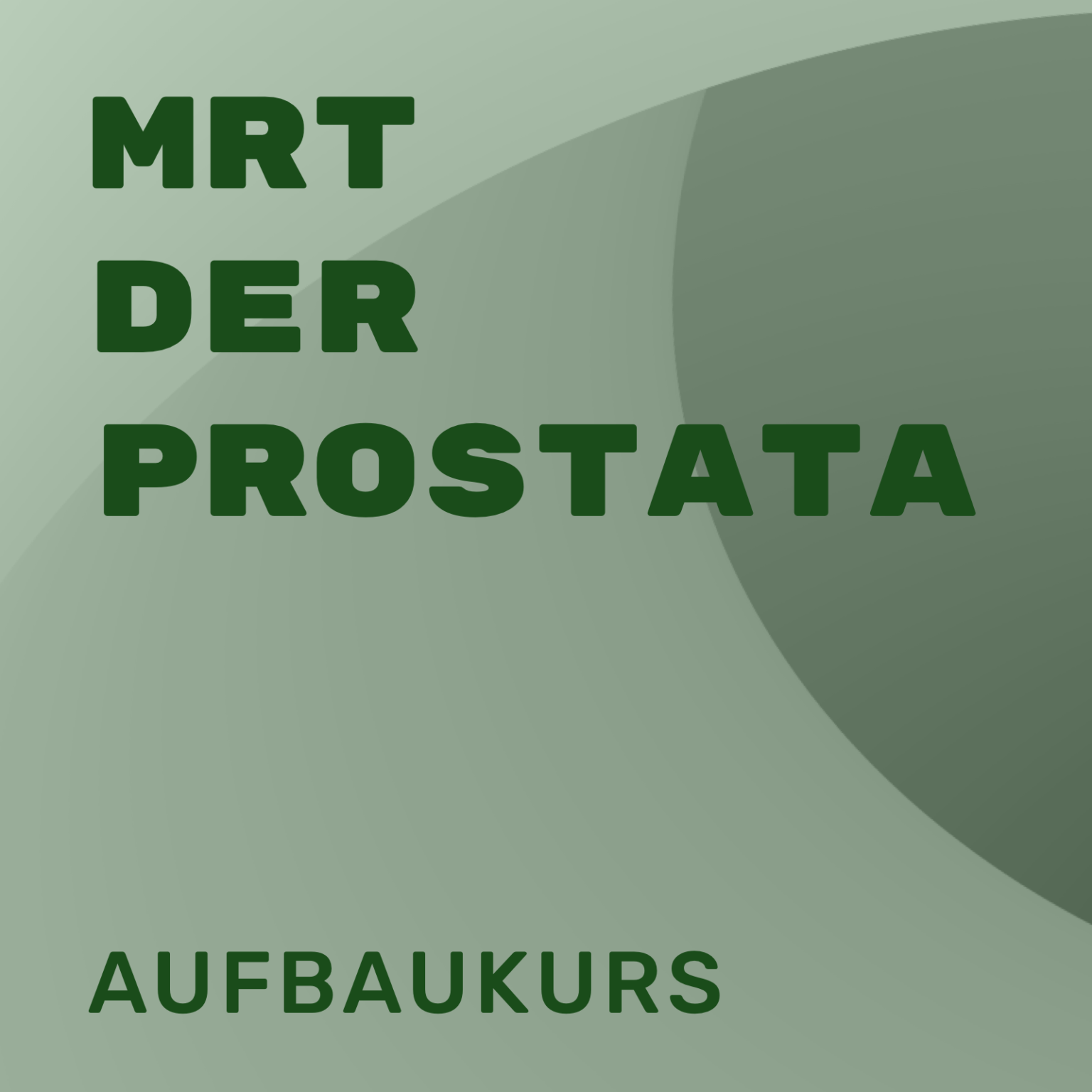 MRT Der Prostata Aufbaukurs Radiologie Weiterbildung